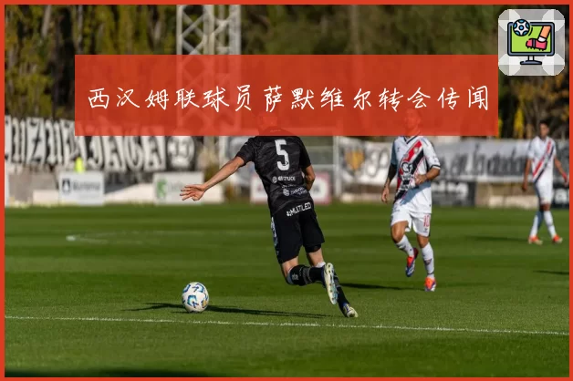西汉姆联球员萨默维尔转会传闻