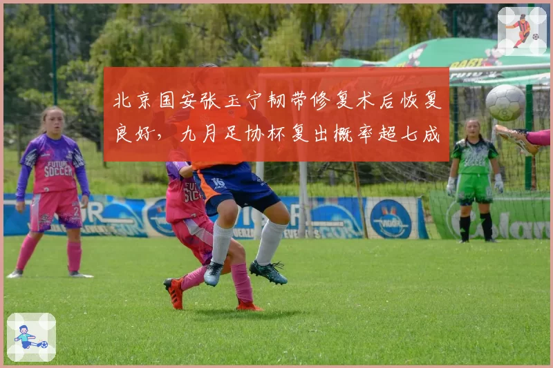北京国安张玉宁韧带修复术后恢复良好，九月足协杯复出概率超七成